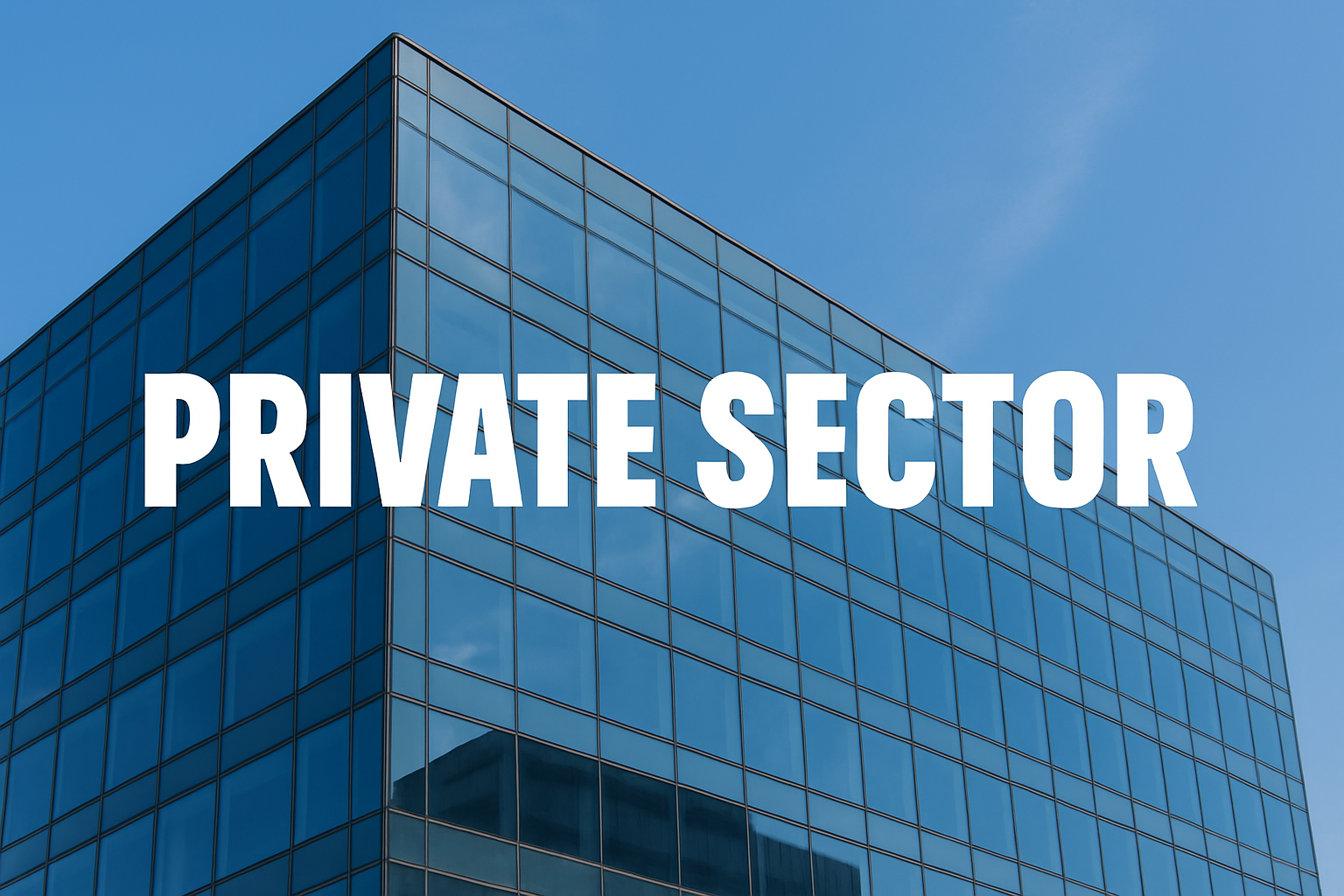 Private sector